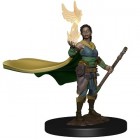 D&D Icons Of The Realm Premium Miniatures: Elf Female Druid