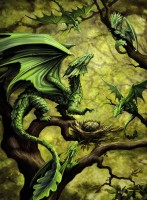 Palapeli: Forest Dragon (500)