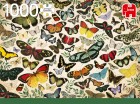 Palapeli: Butterfly Poster (1000)