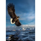 Palapeli: Hunting Eagle (1000)