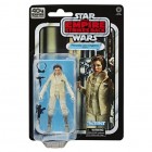 Figuuri: Star Wars TESB - Hoth Princess Leia (Black Series, 15cm)