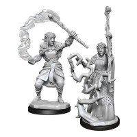 D&D Nolzur\'s Marvelous Miniatures: Firbolg Druid Female