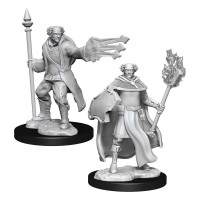 D&D Nolzur\'s Marvelous Miniatures: Multiclass Cleric & Wizard Male