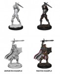 D&D Nolzur's Marvelous Unpainted Minis: Human Paladin