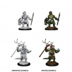 D&D Nolzur's Marvelous Unpainted Minis: Lizardfolk & Shaman