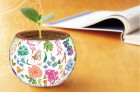 Palapeli 3D: Flower Pot - Little Garden (80)