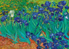 Palapeli: Vincent Van Gogh - Irises (1000)