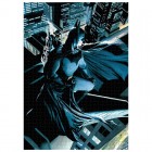 Palapeli: DC Comics - Batman watches (1000pcs)
