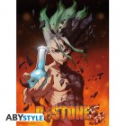 Juliste: Dr.Stone - Senku 52 x 38 cm