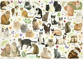 Palapeli: Cat Poster (1000pcs)