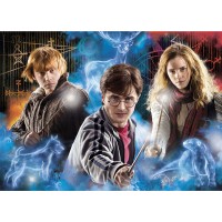 Palapeli: Harry Potter (500pcs)