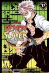 Demon Slayer: Kimetsu No Yaiba 17