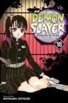 Demon Slayer: Kimetsu No Yaiba 18