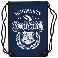 Jumppakassi: Harry Potter - Hogwarts Quidditch