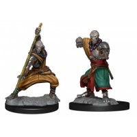 D&D Nolzur\'s Marvelous Miniatures: Warforged Monk (2)