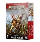 Warhammer Age Of Sigmar: Warrior -Starter Set