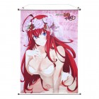 Kangasjuliste: High School DxD - Rias Birthday (60 x 86 cm)