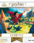Puzzle: Harry Potter - Quidditch Mini (100)