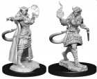 D&D Nolzur's Marvelous Miniatures: Tiefling Sorcerer Female