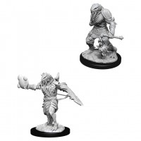 D&D Nolzur\'s Marvelous Miniatures: Male Dragonborn Paladin