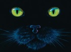 Palapeli: Charles Lynn Bragg - Black Cat (1000pcs)