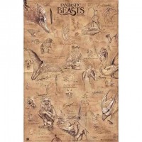 Juliste: Fantastic Beasts - Animals (61x91,5cm)