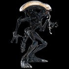 Figuuri: Alien - Xenomorph (Mini Epics) (18cm)