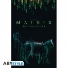 Juliste: The Matrix Resurrections - Cat (91.5x61cm)