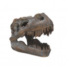Nemesis Now: Tyrannosaurus Rex Skull Freestanding (16cm)