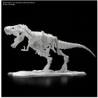 Dinosaur - Dinosaur Model Kit Limex Skeleton Tyrannosaurus