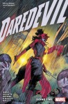 Daredevil by Chip Zdarsky vol 6: Doing Time