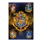Juliste: Harry Potter - The Houses of Hogwarts (61x91.5)
