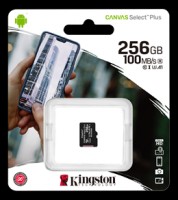 Kingston Canvas Select Plus MicroSDXC, 256GB