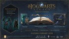 Hogwarts Legacy Collectors Edition (+Onyx Hippogriff Mount)