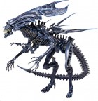 Figuuri: Aliens Vs Predator - Alien Queen (18cm)