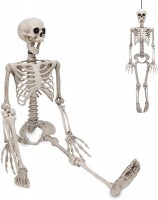 Figuuri: Posable Skeleton (90cm)