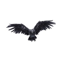 Nemesis Now: Dark Feather (55cm)