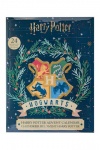 Joulukalenteri: Harry Potter - Wizarding World 2022 Advent Calendar