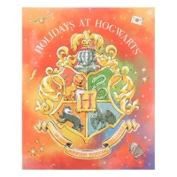Joulukalenteri: Harry Potter - Advent Calendar (2022)