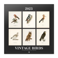 Kalenteri: Animals Vintage - 2023 Calendar (30cm x 30cm)
