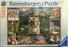 Puzzle - Tiger (5000pcs)