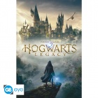 Juliste: Harry Potter - Hogwarts Legacy Key Art (91.5x61cm)