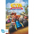 Juliste: Crash Team Racing - Cover (91.5x61cm)
