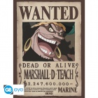 Juliste: One Piece  - Wanted Blackbeard (52x38cm)