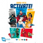 Juliste: DC Comics - League Of Superpets Activate (91.5x61cm)