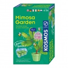 Mimosa Garden