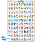 Pokemon - Poster Johto French (91.5x61)