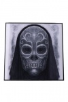Taulu: Harry Potter - Crystal Clear Picture Death Eater Mask (32x32cm)