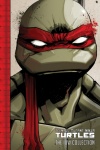 Teenage Mutant Ninja Turtles: The IDW Collection Vol. 1
