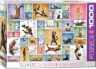Palapeli: Yoga Cats (1000 Pieces)